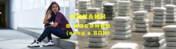 крисы Белокуриха