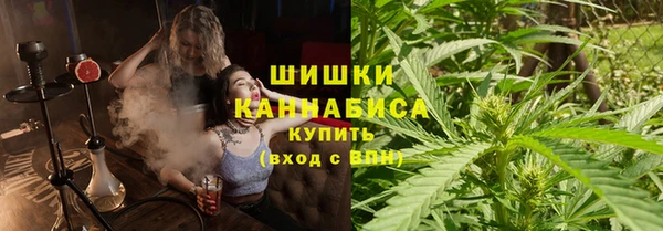 крисы Белокуриха