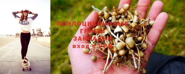 крисы Белокуриха