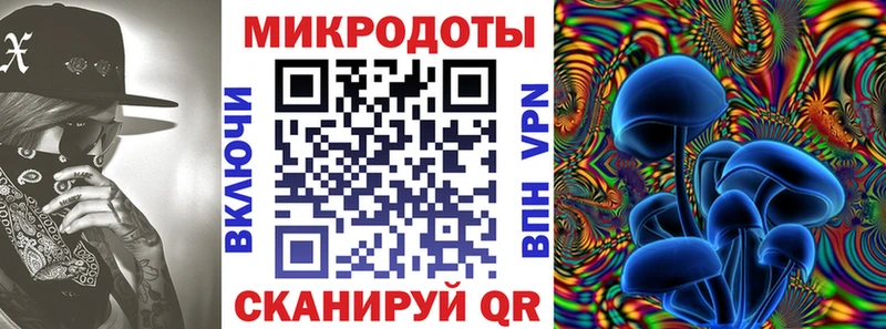 Купить Белая Холуница Галлюциногенные грибы Cubensis